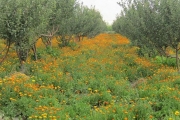 کارمندی که با ۵۰ میلیون تومان آقای خودش شد