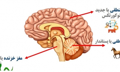 اصول شاد زیستن 2