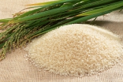 ۴۶هزار تن برنج خارجی فروردین وارد کشور شد