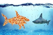 ایجاد یک تیم موسس پایدار برای کسب‌وکار