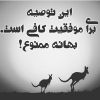 بهانه ممنوع!_1