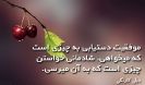 موفقیت و شادمانی_1